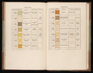 Tavola dei colori gialli di Patrick Syme, tratta da Werner's Nomenclature of Colours (1814), fonte di ispirazione per la ricerca dei colori naturali negli abiti da sposa.