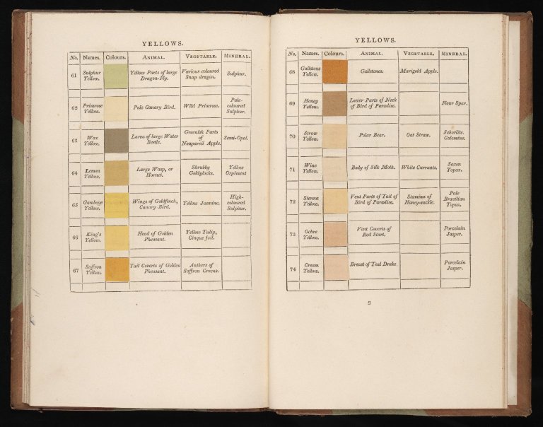 Tavola dei colori gialli di Patrick Syme, tratta da Werner's Nomenclature of Colours (1814), fonte di ispirazione per la ricerca dei colori naturali negli abiti da sposa.